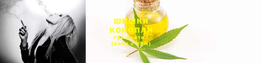 марки lsd Гусиноозёрск