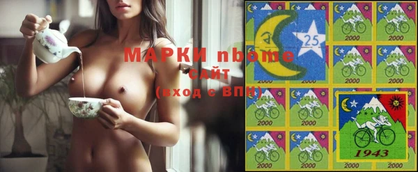соль ск Вяземский